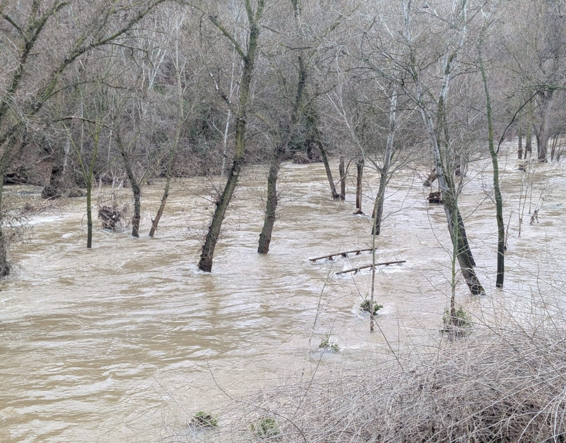 Imagen: El Decano de Guadalajara