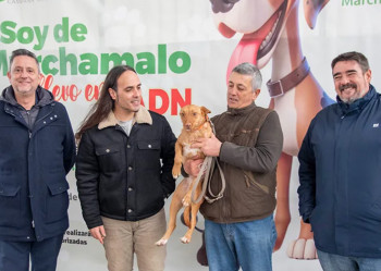Marchamalo contará con un censo genético canino para luchar contra el incumplimiento de la normativa