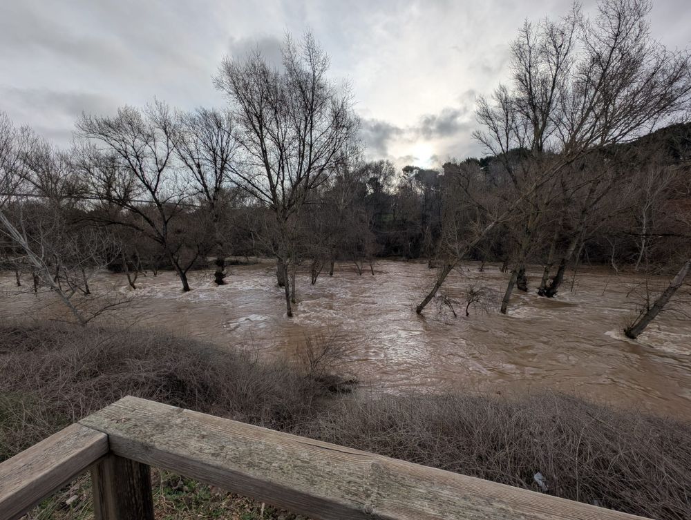 El río Henares a su paso por Guadalajara capital. Imagen: Carmen Ibáñez