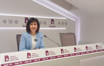 El PSOE acusa a Guarinos de "oscurantismo" en materia de seguridad tras la polémica con el ex jefe de Protección Civil