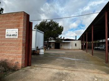 El Hogar Amigo de Vega del Henares arroja un balance positivo con 90 perros perdidos encontrados y 22 adopciones