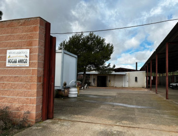 'Hogar Amigo' reencuentra a 90 perros perdidos con sus familias 