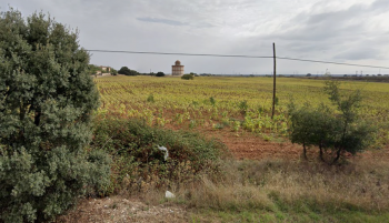 Los Tedax desactivan un proyectil de la Guardia Civil en Villaflores