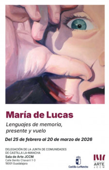 La Delegación de la Junta acoge la conferencia 'Femenino, de singular a plural'