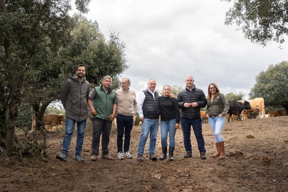 Imagen: Diputación de Guadalajara