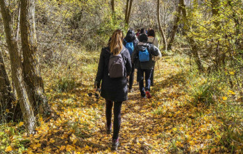 Tres rutas guiadas para descubrir los bosques de Guadalajara en el Día Internacional de los Bosques
