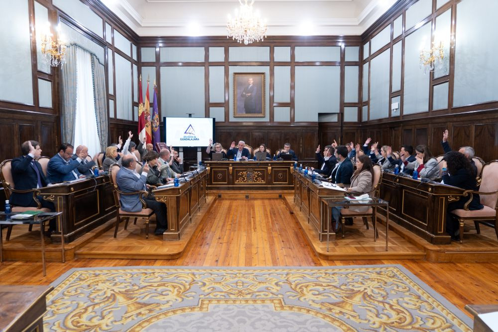 Imagen: Diputación Provincial de Guadalajara. 