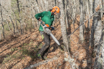 ADAC, la Universidad de Alcalá y Cesefor logran más de 800.000 euros para reactivar la bioeconomía en zonas despobladas 