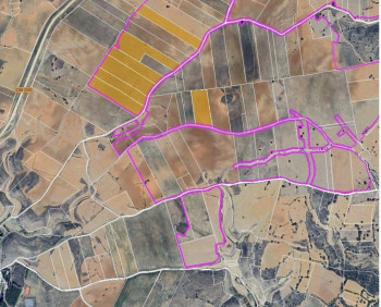 APAG apoya a los agricultores ante las presiones de un macroproyecto fotovoltaico en Fuentelencina