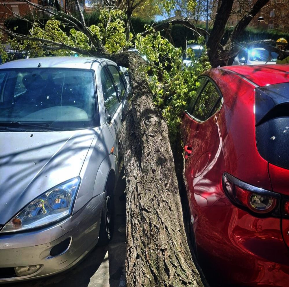 Imagen: Bomberos de Guadalajara.