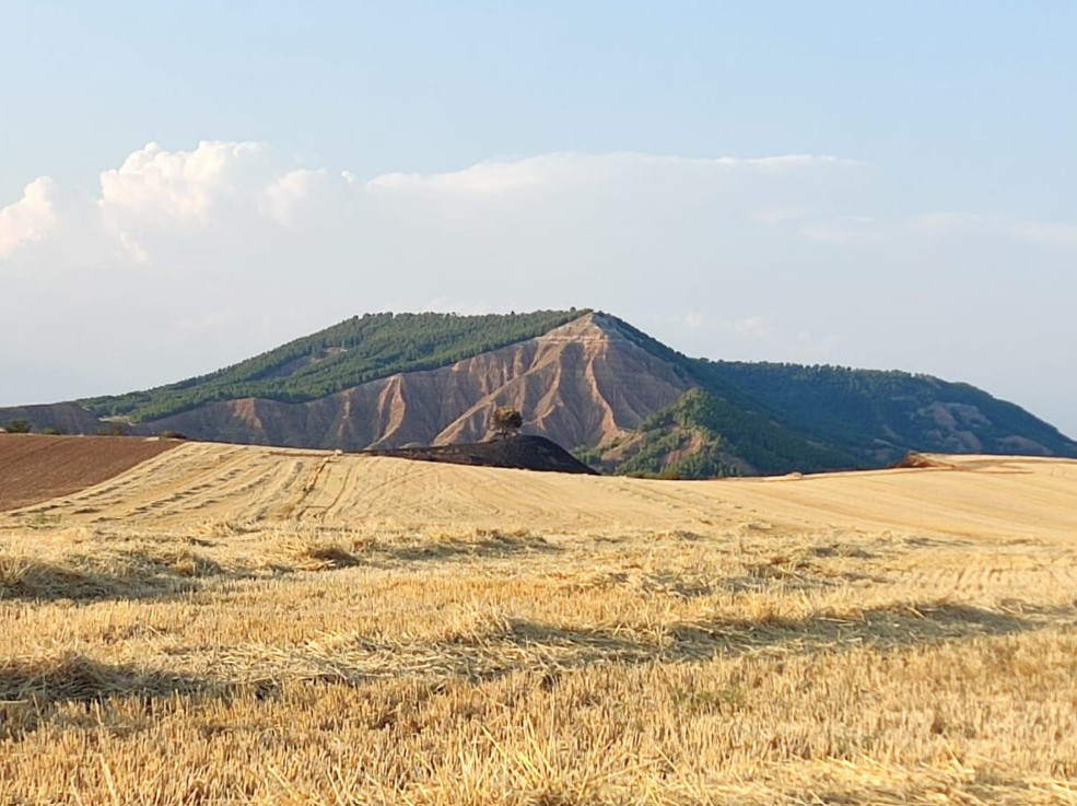 Imagen: Marta Perruca