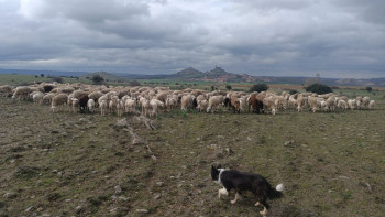Castilla-La Mancha recibirá 12,9 millones del Gobierno para impulsar el desarrollo rural y la competitividad agraria