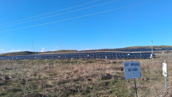 Piden la paralización de un parque fotovoltaico en Usanos por la presencia de nidos de águila imperial
