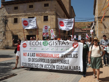 Maranchón otorga licencia a una macrogranja de gallinas pese al rechazo de la población
