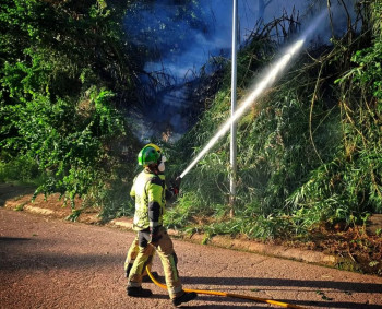 Los bomberos sofocan dos incendios de vegetación junto al Alamín y en el entorno de Taracena