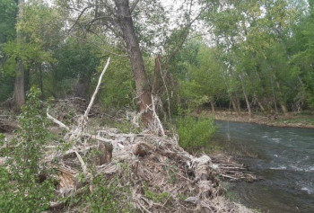 La limpieza del cauce del Henares hasta Los Manantiales arrancará en agosto