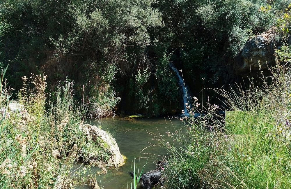 Imagen: Asociación de Municipios Ribereños de Entrpeñas y Buendía