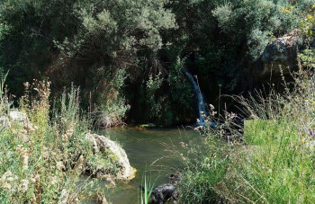 Los Ribereños y la UCLM impulsan un proyecto para recuperar en río Ompolveda en Pareja