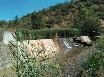 Amreeb y la Cátedra del Tajo UCLM-Soliss inician un estudio para la restauración fluvial del río Ompolveda 