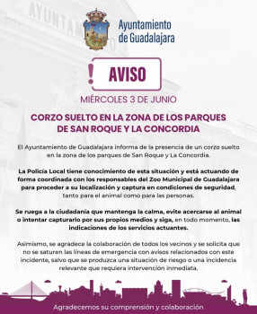 Sale un corzo de la piscina municipal 