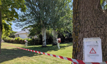 El Ayuntamiento de Cabanillas intensifica los tratamientos preventivos contra mosquitos