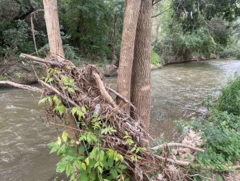 La Asociación Río Henares convoca una nueva jornada de limpieza del río este sábado