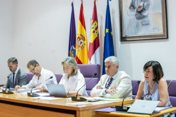 El Pleno de Guadalajara aprueba la reorganización de los servicios económicos