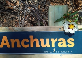 Ruta Literaria 'Enjambre': El poder de un libro para llenar la España Vacía 