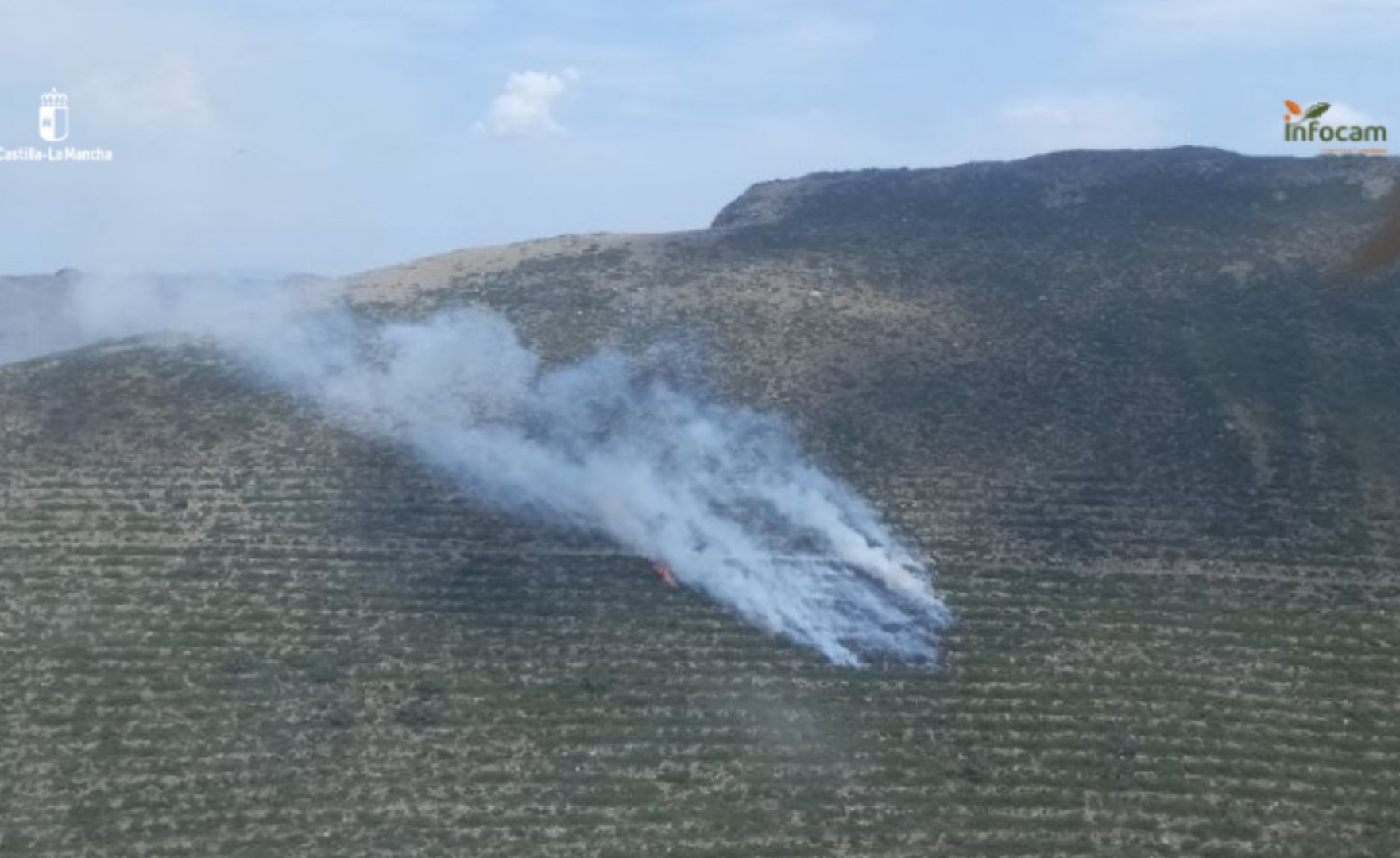 Incendio en El Cardoso de la Sierra
