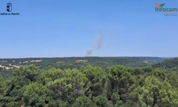 Incendio en Budia