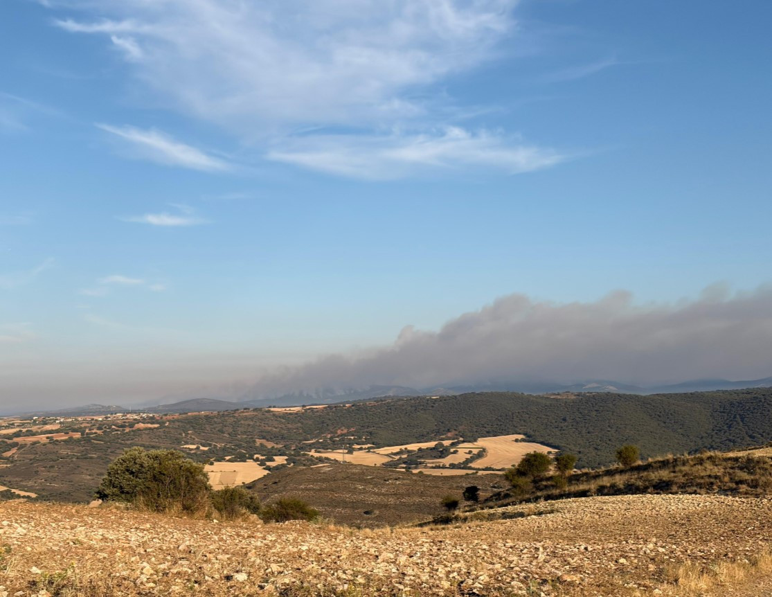 Imagen: Vista del incendio desde Torremocha de Jadraque / El Decano de Guadalajara