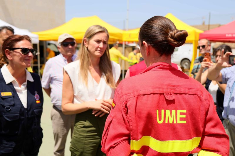 Aagesen garantiza el apoyo del Gobierno para recuperar la Sierra Norte tras el incendio de La Mierla