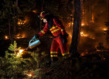 El incendio de La Mierla apenas ha avanzado a lo largo de hoy y sigue en torno a las 32.000 ha. quemadas