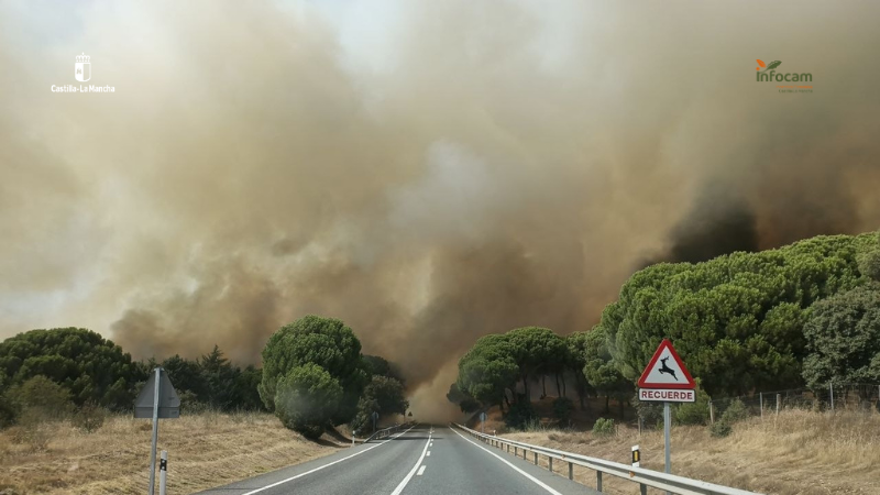 Un episodio de simultaneidad de incendios forestales pone a prueba al Plan Infocam en Castilla-La Mancha