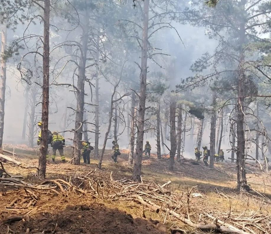 Imagen: Brigada de Refuerzo en Incendios Forestales Lubia, perteneciente al Miteco, Instagram.