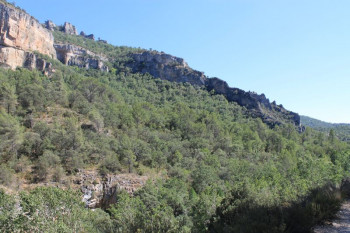 Armallones ofrece sus pastos a los ganaderos afectados por el incendio de la Sierra Norte