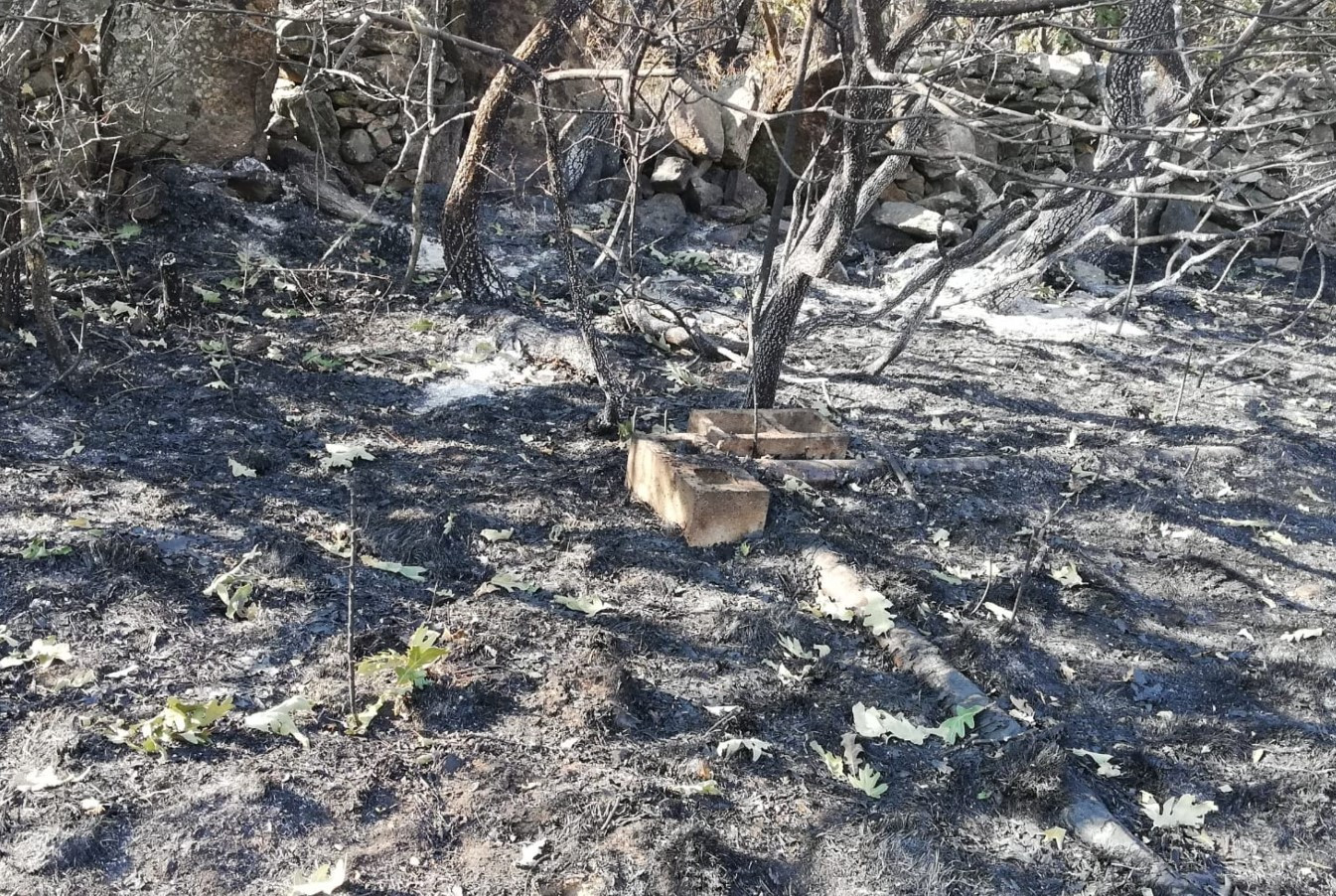 Imagen: Zona del Alto Rey /El Decano de Guadalajara