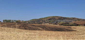 El alcalde de La Mierla asegura que no vio medios de extinción en la cosecha donde se originó el incendio y apunta a un "error" del investigado