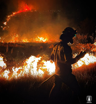 Los municipios afectados por los incendios de La Mierla, Selas y Robledillo, declarados zonas catastróficas 