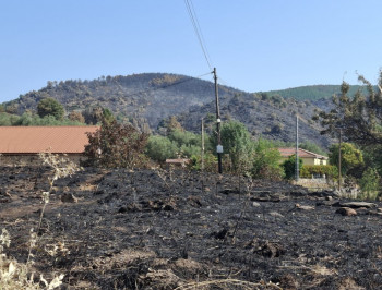 "Ahora mismo hay una relativa calma con los incendios de Castilla-La Mancha"