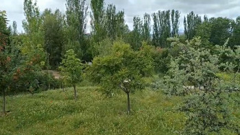 La Policía Local y la Concejalía de Jardines se lo ponen difícil a los 'guardianes' del Bosque Urbano de Aguas Vivas 