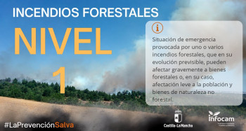 El incendio forestal de Checa pasa a nivel 1 por la afección del humo a la carretera
