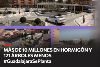 Aike logra en apenas dos días más de mil firmas contra la plataforma de hormigón y la tala de árboles de Guarinos