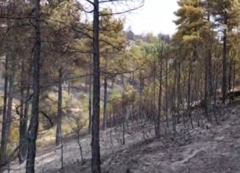 Extinguido el incendio de El Recuenco