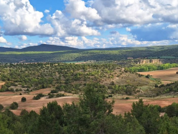  La Plataforma para la Defensa del Valle propone un gran acuerdo para el futuro de la Sierra Norte, las Parameras y el Alto Tajo