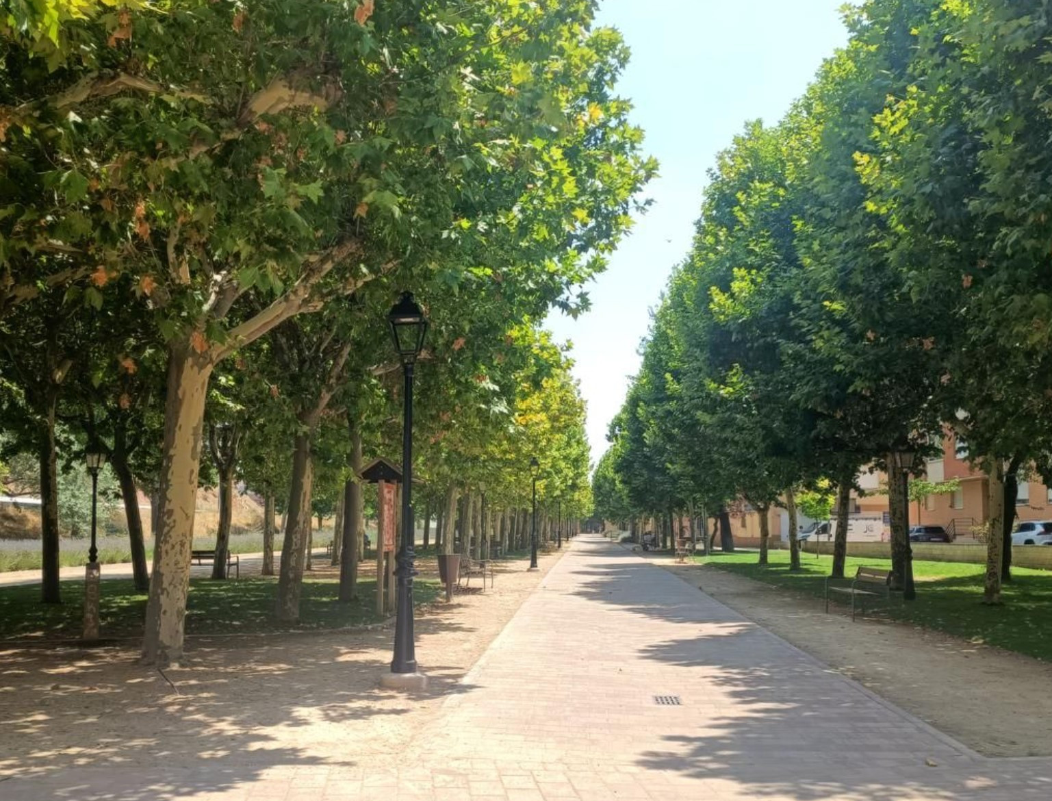 Imagen: Diputación Guadalajara