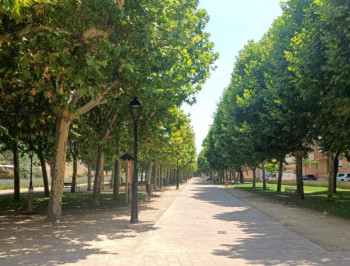 Molina creará una zona infantil en el parque de la Alameda 