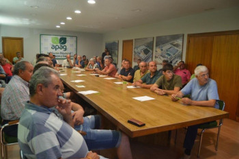 El olivar tradicional de La Alcarria inicia el camino hacia el reconocimiento de la FAO 