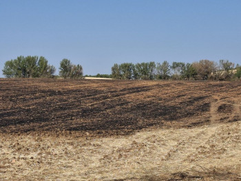 Extinguido el incendio de La Mierla tras 51 días de lucha contra el fuego