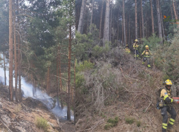 Extinguido el incendio declarado este martes en el Cardoso de la Sierra